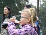 P1330764: Foto, video: Čáslavská zemědělka v sobotu hostila „Speciální výstavu beaglů“