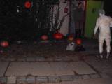 CIMG4961: Foto: Halloweenu v Potěhách v sobotu zahrály čtyři regionální kapely