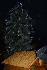 DSC08766: Foto: Rozsvěcení vánočního stromu v Čáslavi letos zmoklo a zmrzlo