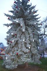 dsc_0046: Foto: Rozsvěcení vánočního stromu v Čáslavi letos zmoklo a zmrzlo