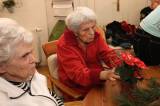 5G6H8305: Na vánoční atmosféře se podíleli i sami klienti Alzheimercentra Filipov