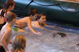 5G6H9308: Foto: Děti skotačily v kutnohorském bazénu na raftu, plavaly i závod