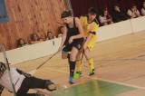 _MG_8493: Foto: Ve florbalovém turnaji středních škol zvítězila děvčata z Gymnázia Jiřího Ortena