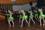 DSC_6363: Foto, video: Třiadvacátý ples Města Kolína nabídl spoustu muziky a dalšího programu