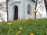 12: Foto: Na čáslavském Hejdofu v těchto dnech rozkvetly tulipány