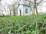 DSCN2257: Foto: Na čáslavském Hejdofu v těchto dnech rozkvetly tulipány