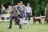 IMG_3871: Foto: Na Oblastní výstavě psů na zámku Kačina bylo k vidění celkem 43 plemen
