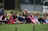 AH1B7906: Foto: Orel, luňák nebo výr, Kolínští školáci poznávali vzácné dravce