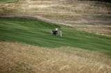 5G6H4070: Gary Wolstenholme vyhrál golfový turnaj na Roztěži - Casa Serena Open