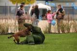 5G6H6571: Policejní psi u kutnohorského závodu Foxconn v sobotu cenili zuby