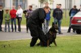 5G6H6575: Policejní psi u kutnohorského závodu Foxconn v sobotu cenili zuby