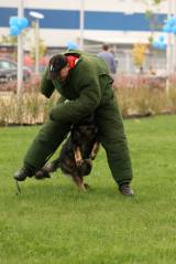 5G6H6579: Policejní psi u kutnohorského závodu Foxconn v sobotu cenili zuby
