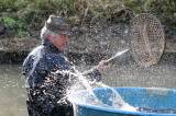 IMG_0565: Rybáři „vyprázdnili“ druhý největší rybník společnosti Městské lesy a rybníky Kutná Hora