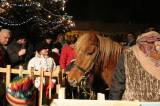 IMG_6142: V Kutné Hoře se vánoční strom rozzářil v pátek, starosta přál lidem klidné svátky