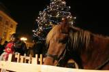 IMG_6153: V Kutné Hoře se vánoční strom rozzářil v pátek, starosta přál lidem klidné svátky