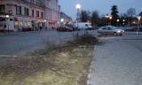 IMG_4641: I desítky let staré lípy v centru Čáslavi padají k zemi, na vině je jejich špatný zdravotní stav