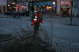 IMG_4649: I desítky let staré lípy v centru Čáslavi padají k zemi, na vině je jejich špatný zdravotní stav