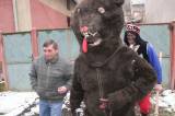 IMG_5751: Masopustní průvod prošel Okřesančí, medvěd během taškařice napadl několik obyvatel