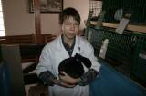 IMG_5850: Chovatelé vzali výstavu v Hostovlicích útokem, během dvou hodin nakoupili 150 králíků