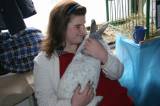 IMG_5872: Chovatelé vzali výstavu v Hostovlicích útokem, během dvou hodin nakoupili 150 králíků
