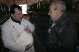 IMG_5880: Chovatelé vzali výstavu v Hostovlicích útokem, během dvou hodin nakoupili 150 králíků