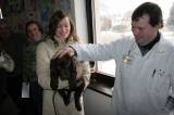 IMG_5923: Chovatelé vzali výstavu v Hostovlicích útokem, během dvou hodin nakoupili 150 králíků