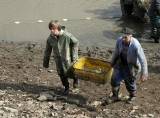 IMG_9754: Rybáři vylovili Podměstský rybník v Čáslavi do poslední rybičky