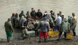 IMG_9766: Rybáři vylovili Podměstský rybník v Čáslavi do poslední rybičky