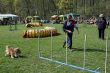 IMG_0598: Kutnohorské kynologické cvičiště hostilo závody psů v agility 