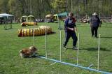 IMG_0599: Kutnohorské kynologické cvičiště hostilo závody psů v agility 