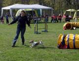 IMG_0605: Kutnohorské kynologické cvičiště hostilo závody psů v agility 