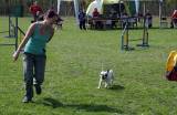 IMG_0615: Kutnohorské kynologické cvičiště hostilo závody psů v agility 