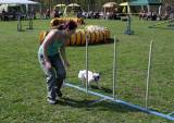 IMG_0619: Kutnohorské kynologické cvičiště hostilo závody psů v agility 