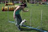 IMG_0621: Kutnohorské kynologické cvičiště hostilo závody psů v agility 