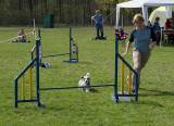 IMG_0641: Kutnohorské kynologické cvičiště hostilo závody psů v agility 
