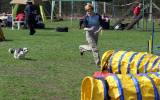 IMG_0645: Kutnohorské kynologické cvičiště hostilo závody psů v agility 