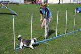 IMG_0652: Kutnohorské kynologické cvičiště hostilo závody psů v agility 