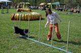 IMG_0664: Kutnohorské kynologické cvičiště hostilo závody psů v agility 