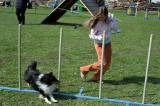 IMG_0666: Kutnohorské kynologické cvičiště hostilo závody psů v agility 