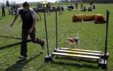 IMG_0670: Kutnohorské kynologické cvičiště hostilo závody psů v agility 