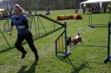 IMG_0692: Kutnohorské kynologické cvičiště hostilo závody psů v agility 