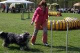 IMG_0694: Kutnohorské kynologické cvičiště hostilo závody psů v agility 