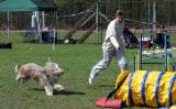 img_0713: Kutnohorské kynologické cvičiště hostilo závody psů v agility 