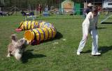 IMG_0715: Kutnohorské kynologické cvičiště hostilo závody psů v agility 