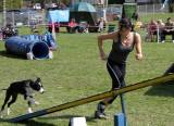 IMG_0807: Kutnohorské kynologické cvičiště hostilo závody psů v agility 