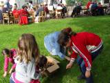 SDC10096: Ve Schořově si v sobotu užili hry a soutěže při příležitosti tradičního kácení máje