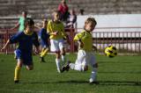 5G6H8979: Foto: V hlavní roli opět nejmladší fotbalisté, Sparta Kutná Hora připravila další turnaj