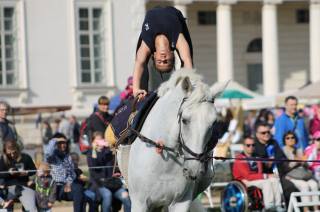 Foto: Koně na Kačině přinesly zábavu nejen pro milovníky těchto ušlechtilých zvířat