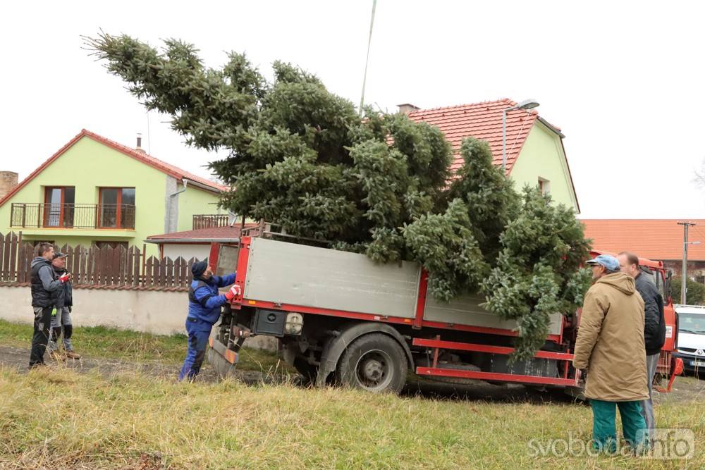 Foto, video: Vánoční strom pro Miskovice věnovali manželé Magda a Petr Brantovi