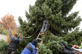 20211115211011_IMG_2131: Foto, video: Vánoční strom pro Miskovice věnovali manželé Magda a Petr Brantovi